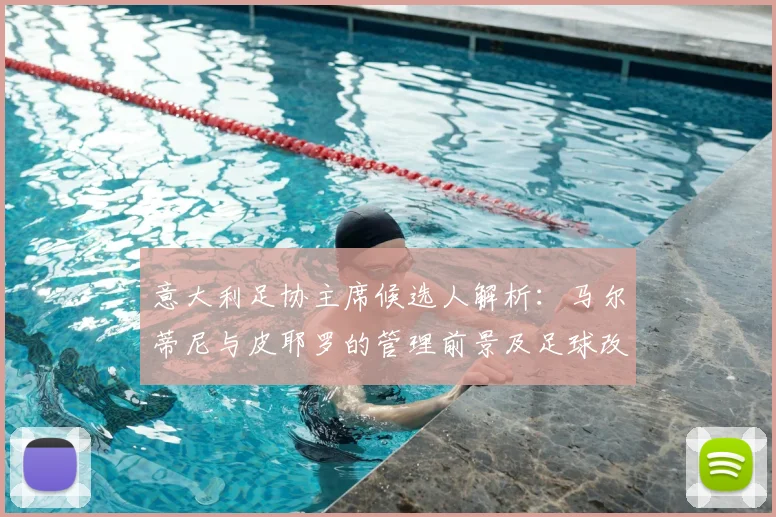 意大利足协主席候选人解析：马尔蒂尼与皮耶罗的管理前景及足球改革方向