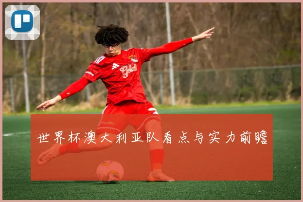 世界杯澳大利亚队看点与实力前瞻